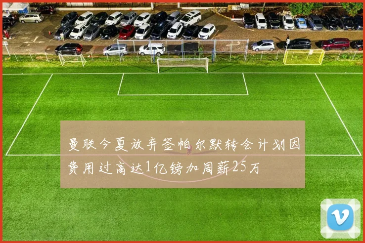 曼联今夏放弃签帕尔默转会计划因费用过高达1亿镑加周薪25万