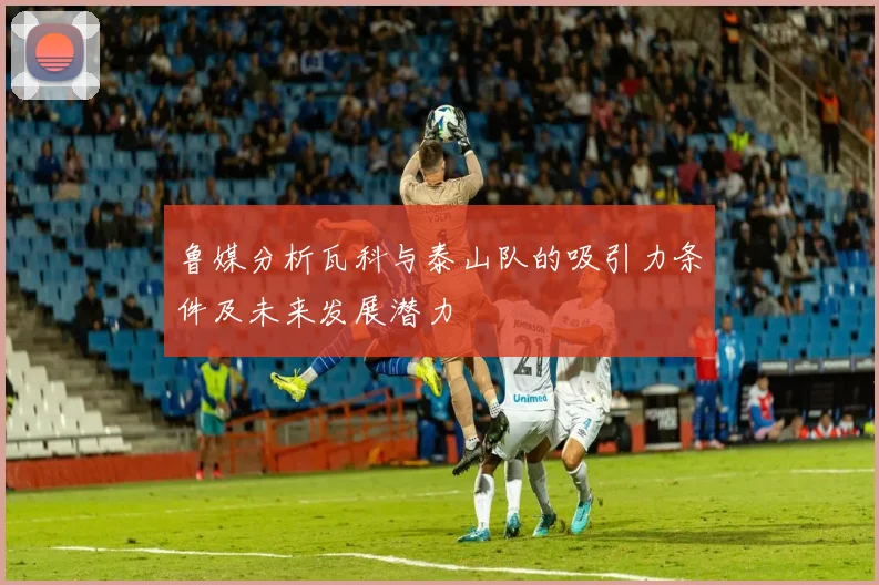 鲁媒分析瓦科与泰山队的吸引力条件及未来发展潜力