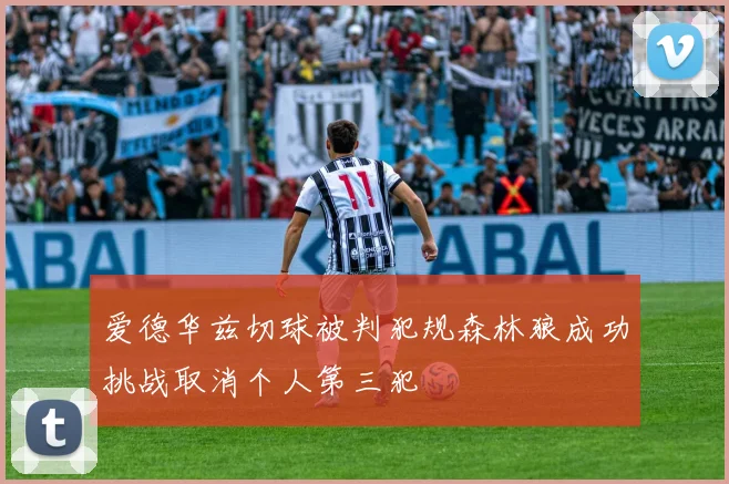 爱德华兹切球被判犯规森林狼成功挑战取消个人第三犯