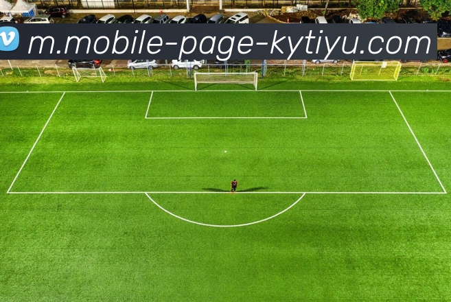 开云体育APP 封面图